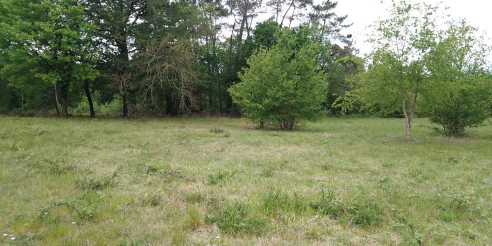 Maisons neuves   Saint-Barth�lemy-de-Bellegarde (24700)