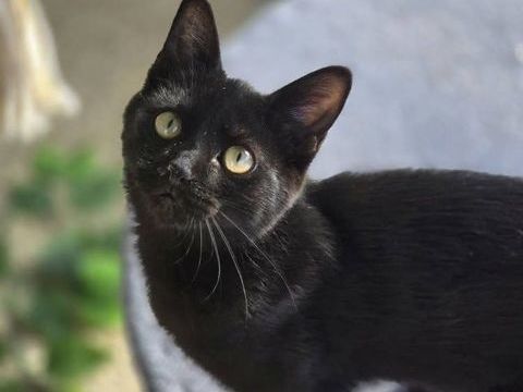 ALOE 210 60000 Beauvais