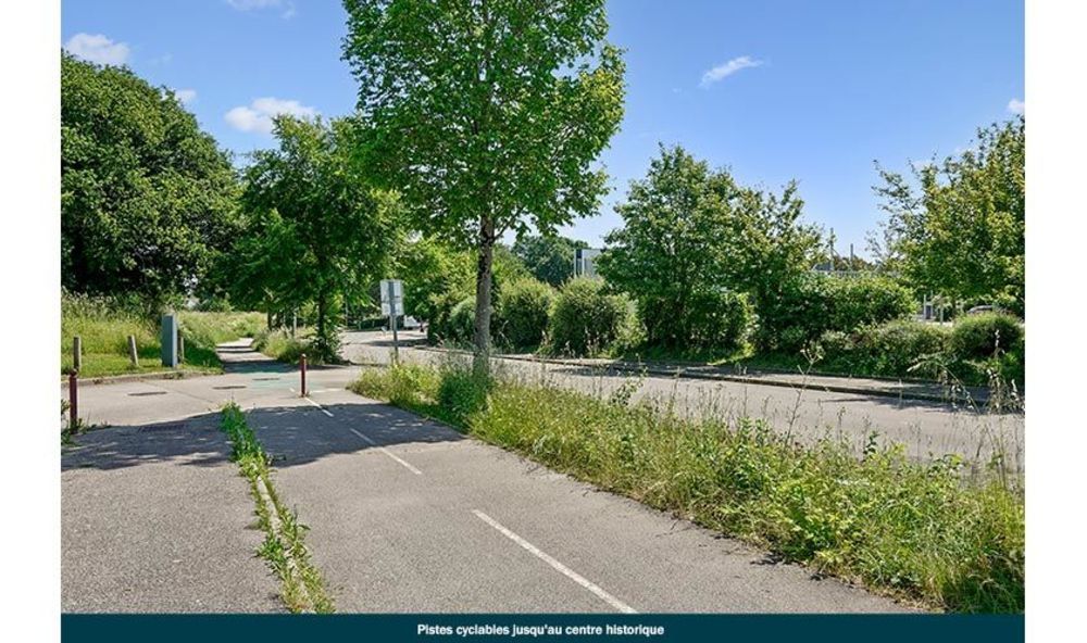  Vannes (56000)