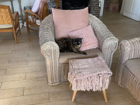Canap� et deux fauteuils en rotin roche bobois 300 Beauvais (60)