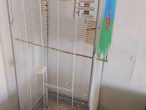 Perruche ondul&eacute;e 100 30100 Al�s