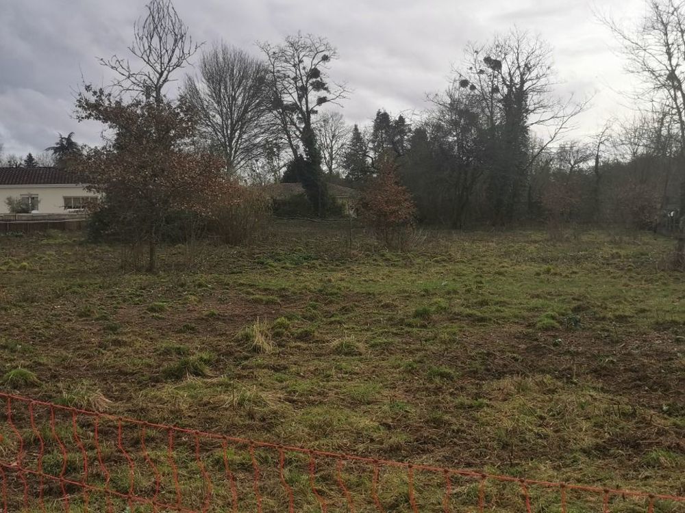 Maisons neuves   Noaillan (33730)
