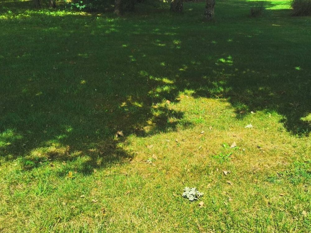 Maisons neuves   Mios (33380)