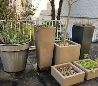  Appartement � louer 4 pi�ces 84 m�