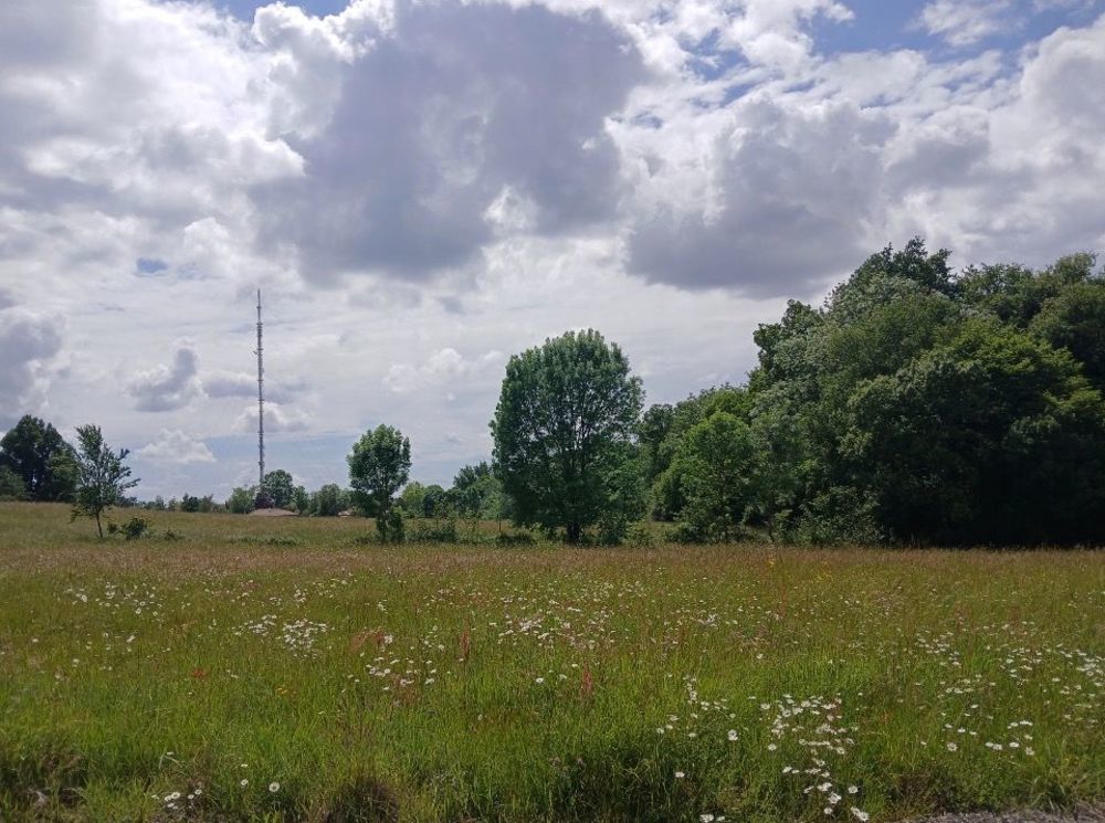 Maisons neuves   Bouliac (33270)