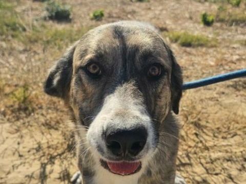 IZAN 300 27620 Gasny