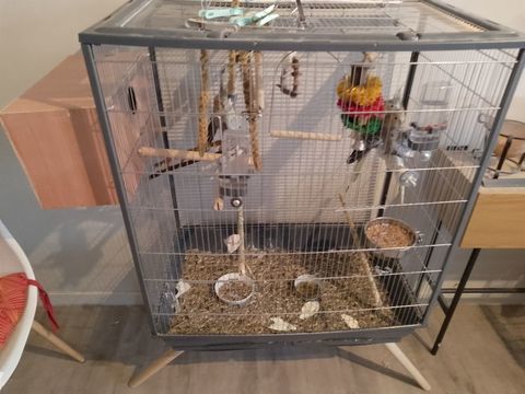 1 cage voliere et une cage pour perruches 0 26240 Saint-vallier