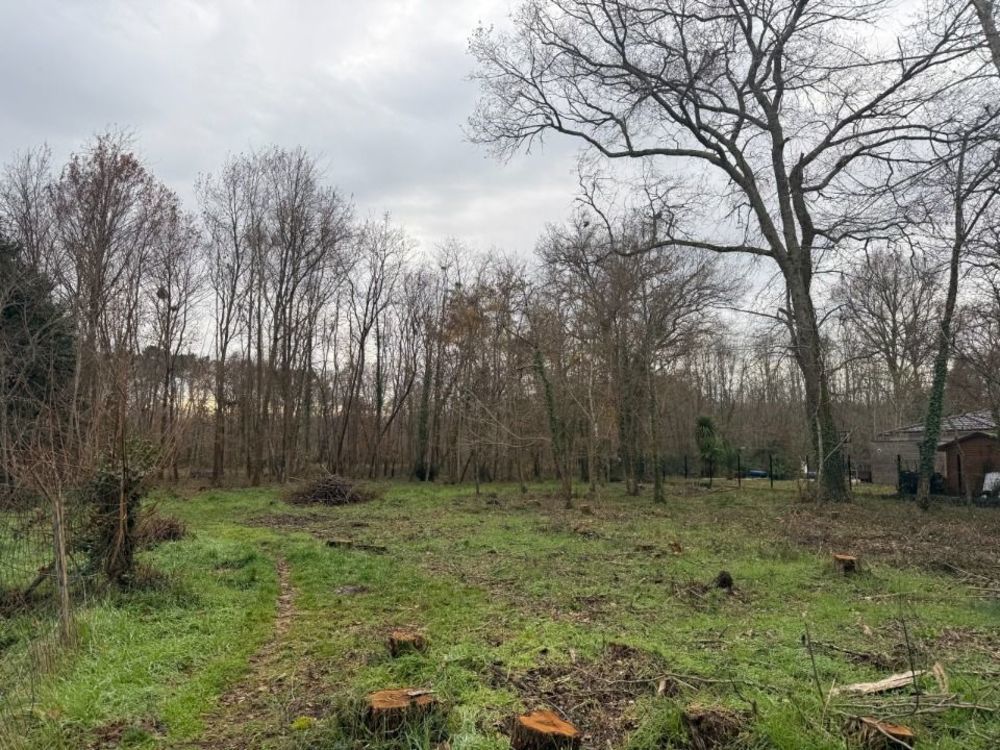 Maisons neuves   Saint-Selve (33650)