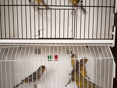 Canaris 20 44390 Nort-sur-erdre