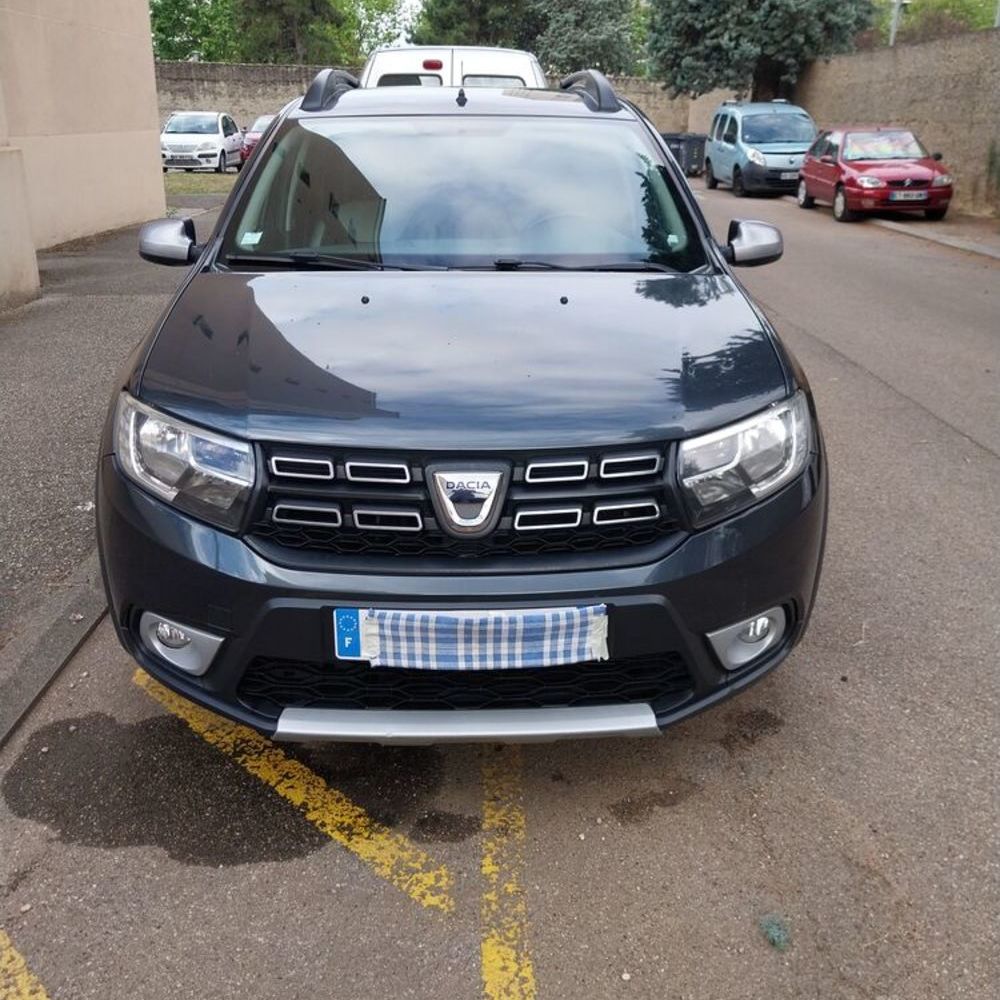 Sandero Blue dCi 95 Stepway 2019 occasion 69500 Bron