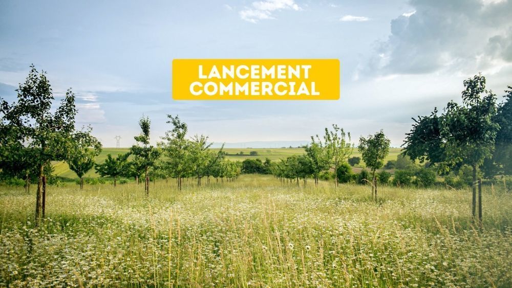 Terrains � batir   Bischwihr (68320)