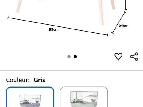 lapin nain b&eacute;lier + cage deux &eacute;tages 70 91240 Saint-michel-sur-orge