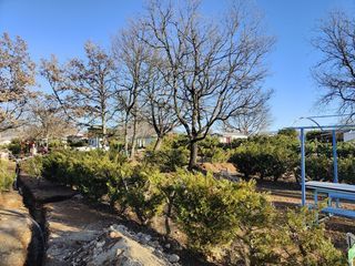  Terrain � louer 150 m�