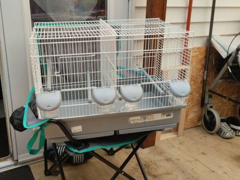 Cage a oiseaux 50 30470 Aimargues