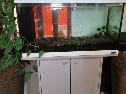 Aquarium 250 97490 Sainte-clotilde