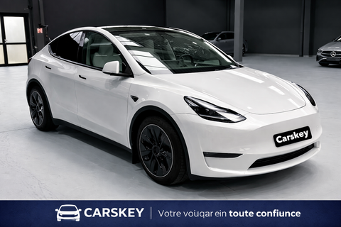 Tesla Model Y MODEL Y Performance Dual Motor AWD 2022 occasion Paris 75008