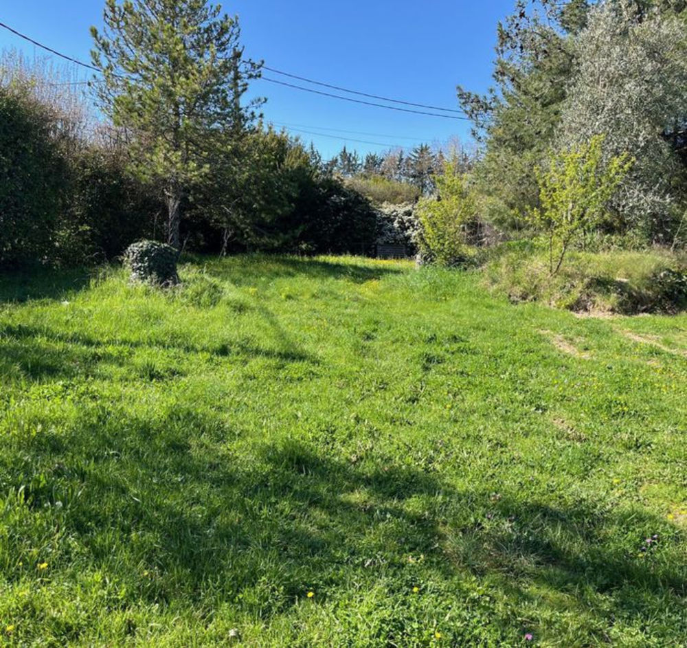 Maisons neuves   Le Taillan-Mdoc (33320)