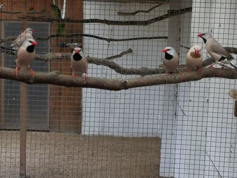 Bavette &agrave; longue queue de heck 20 44860 Pont-saint-martin