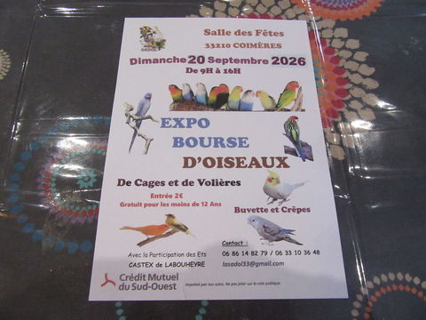 EXPO/BOURSE D'OISEAUX Coim&eacute;re 33210 2 33210 Coim�res