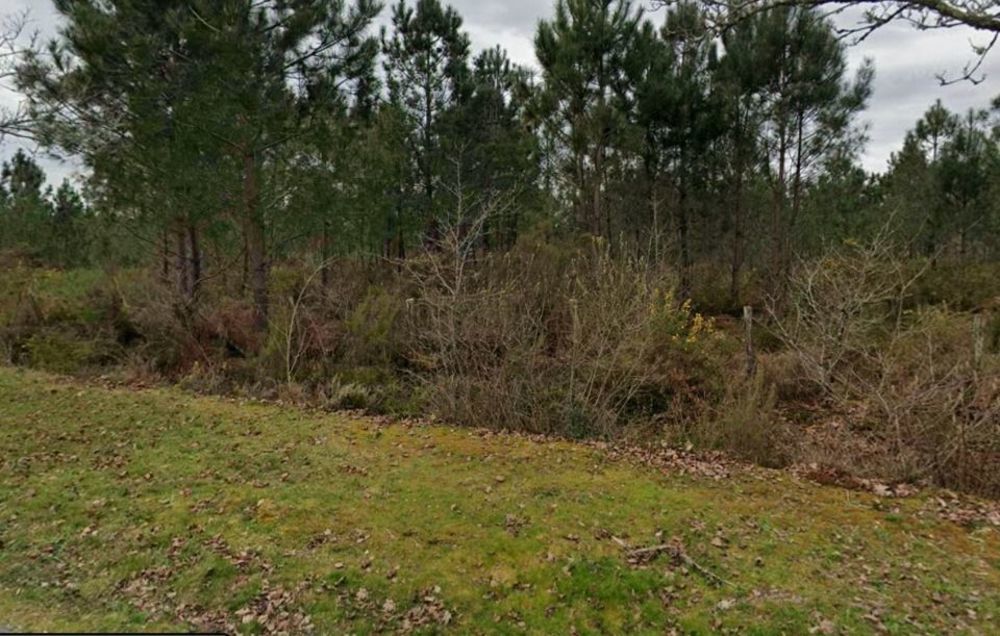 Maisons neuves   Saucats (33650)