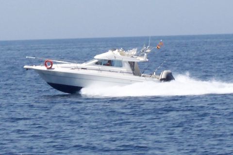 Bateaux &agrave; moteur P&ecirc;che-promenade 2002 occasion ROSES 31600