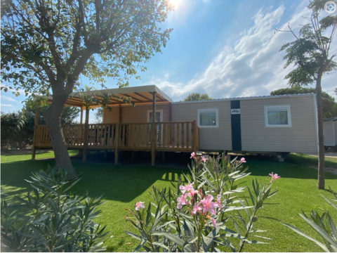 Mobil-Home Mobil-Home 2022 occasion Torreilles 66440