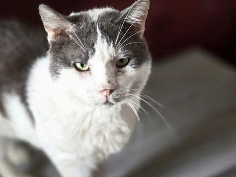 LAKA 210 60000 Beauvais