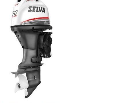 Moteurs de bateaux Moteurs de bateaux 2026 occasion Roquefort-la-B&eacute;doule 13830