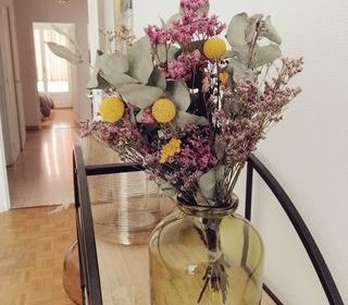  Appartement � louer 2 pi�ces 60 m�