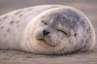 Location  Mobile Home 