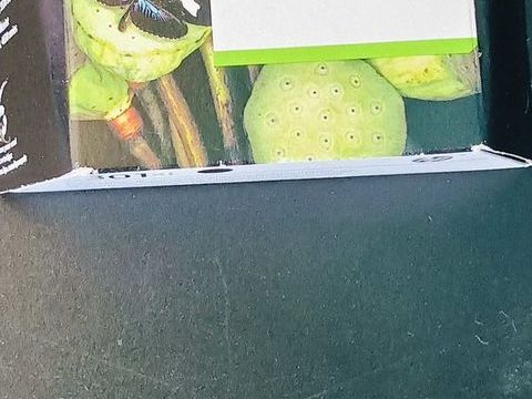 cartouches d'encre HP 50 93460 Gournay-sur-marne