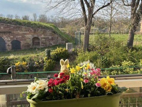   NEUF-BRISACH, Bel appartement 4 pi�ces tout confort 
Appartement - 4 pi�ce(s) - 74 m�