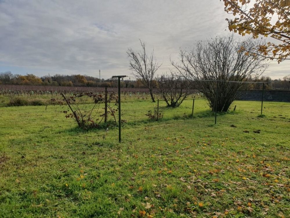 Maisons neuves   Saint-Loub�s (33450)