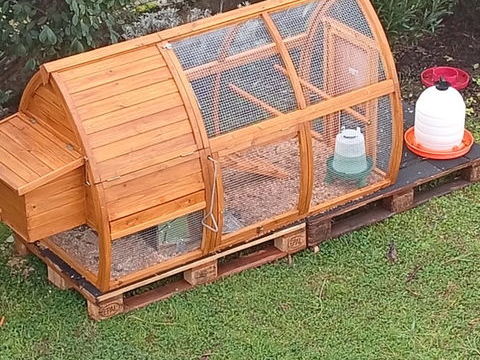 Poulailler d'occasion 260 47140 Saint-sylvestre-sur-lot