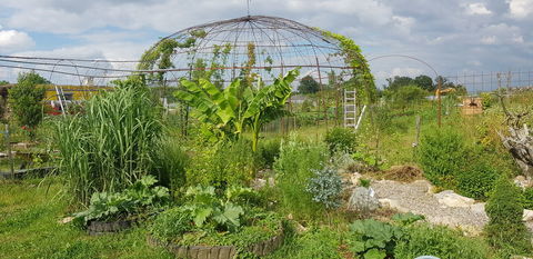 Parcelles de terre � louer 5 Richwiller (68)