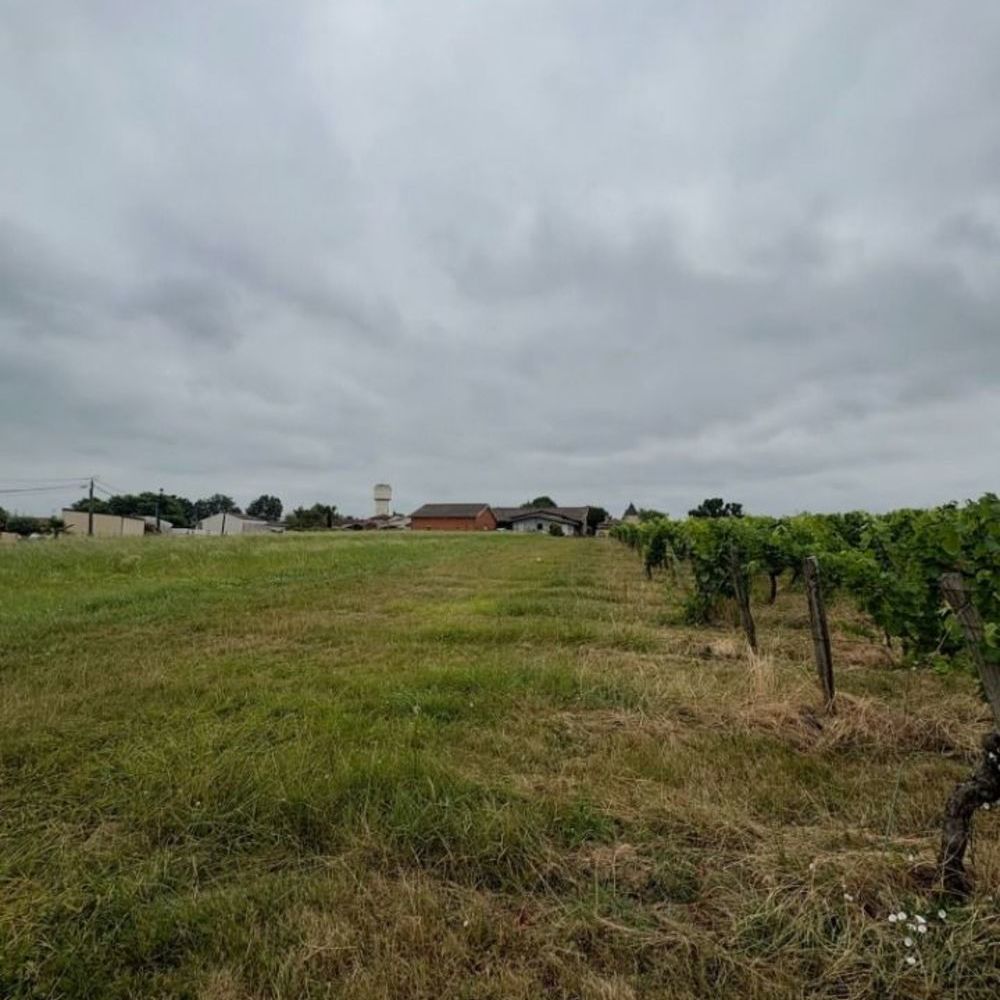 Terrains � batir   Laroque (33410)