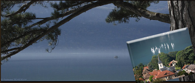 Agence Euro immo Brison St Innocent