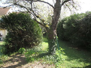  Terrain � vendre 277 m�