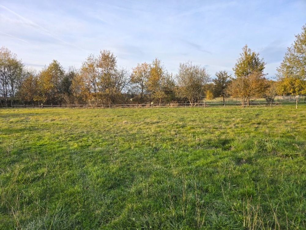 Maisons neuves   La Force (24130)