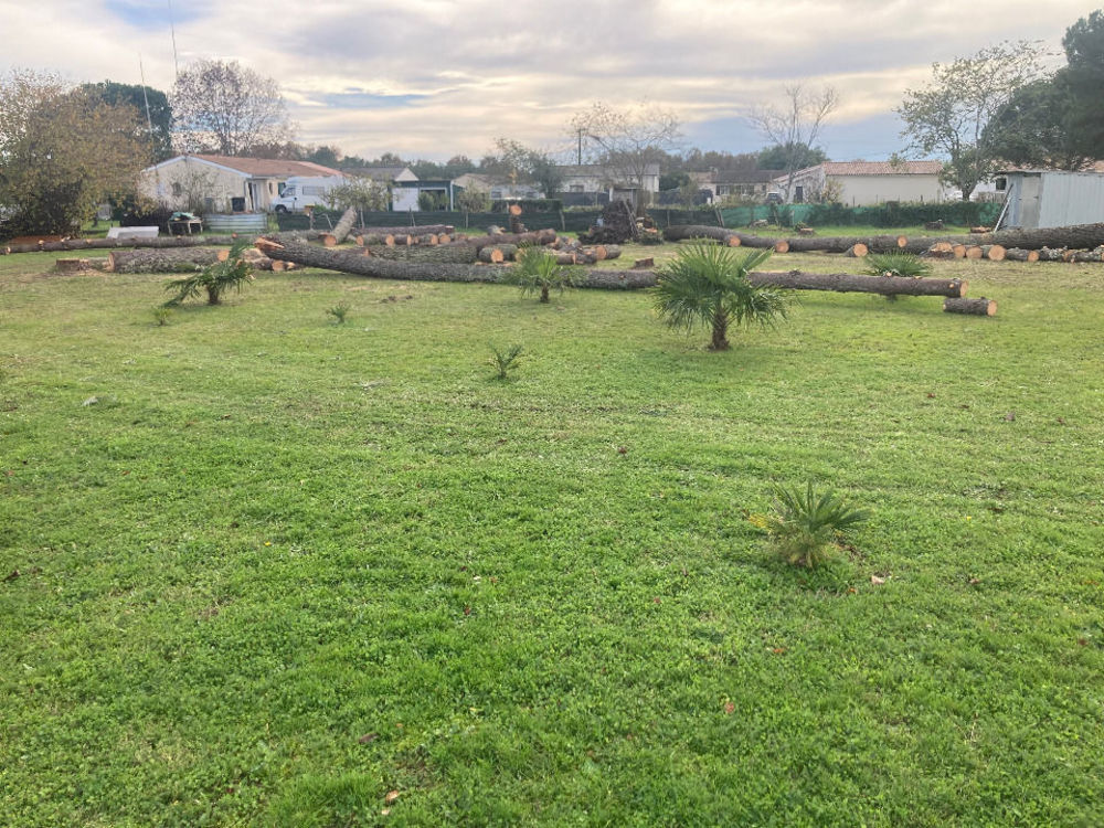 Maisons neuves   Les Peintures (33230)