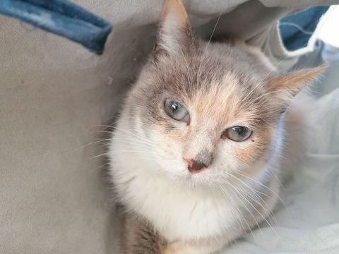 MAHITY 200 26700 Pierrelatte