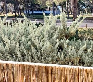  Appartement � vendre 2 pi�ces 28 m�