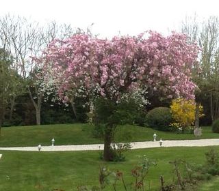  Appartement � vendre 1 pi�ce 29 m�