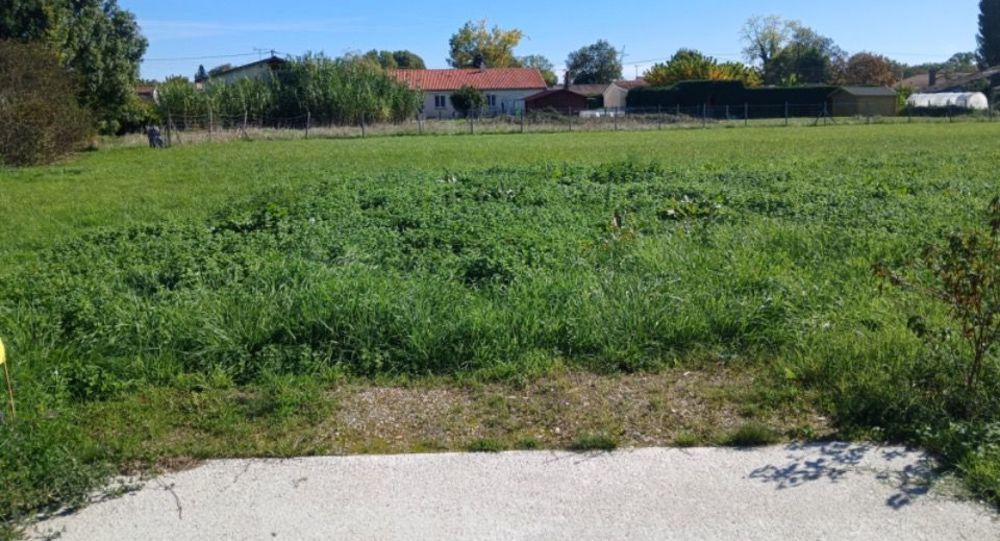 Maisons neuves   Carcans (33121)