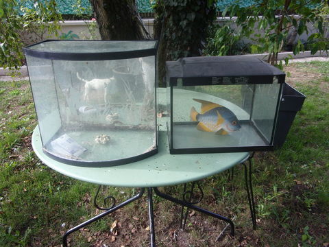 lot de 2 aquariums 30 16240 Paizay-naudouin-embourie