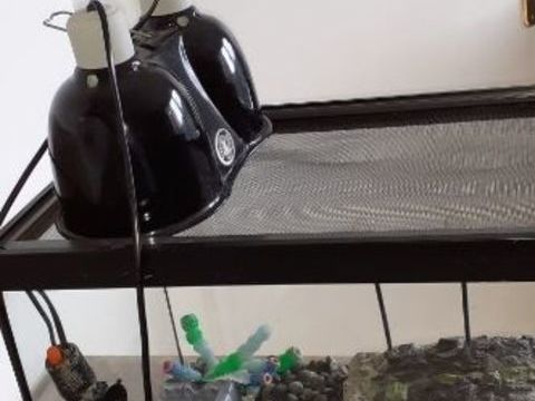 Lot de 5 articles grand aquarium  avec  tout équipements 150 91170 Viry-chtillon