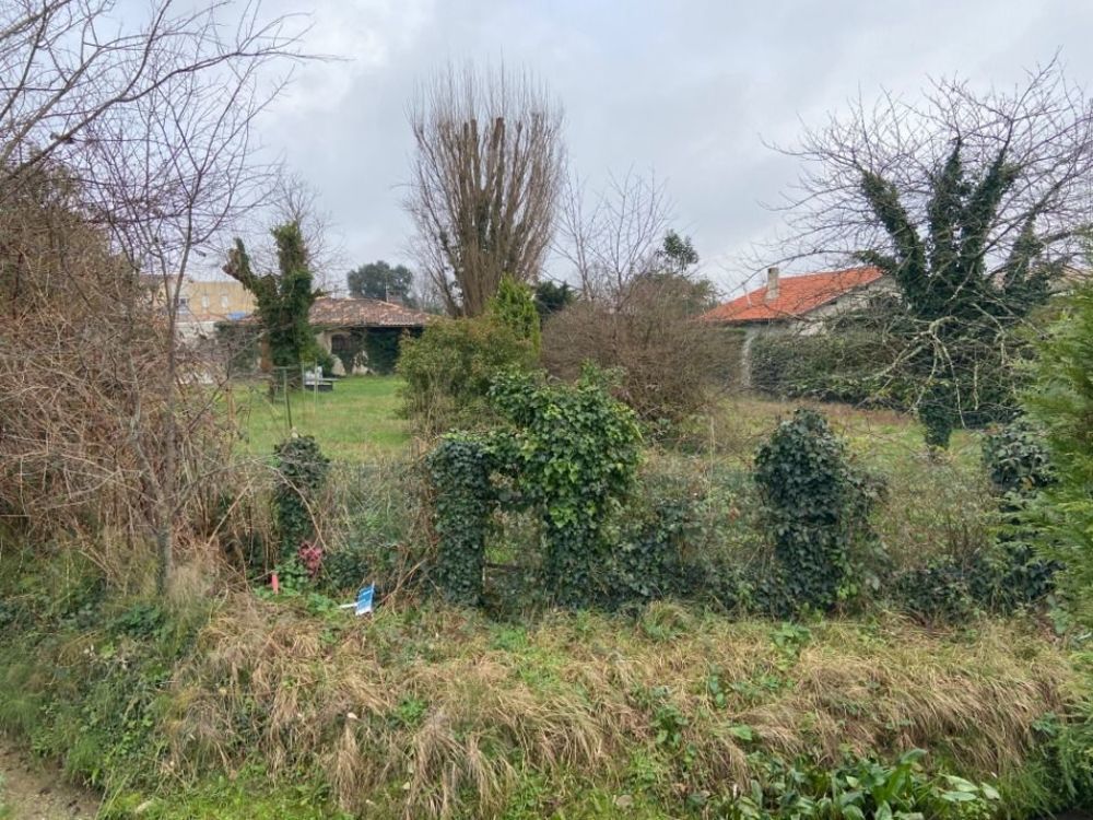   Le Teich (33470)