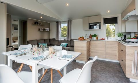 Mobil-Home Mobil-Home 2017 occasion Seignosse 40510