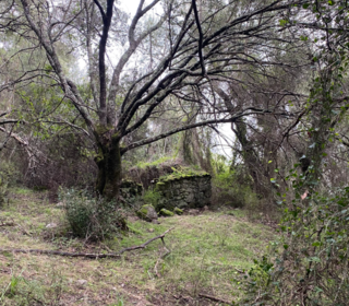  Terrain � vendre 44000 m� Pila-canale