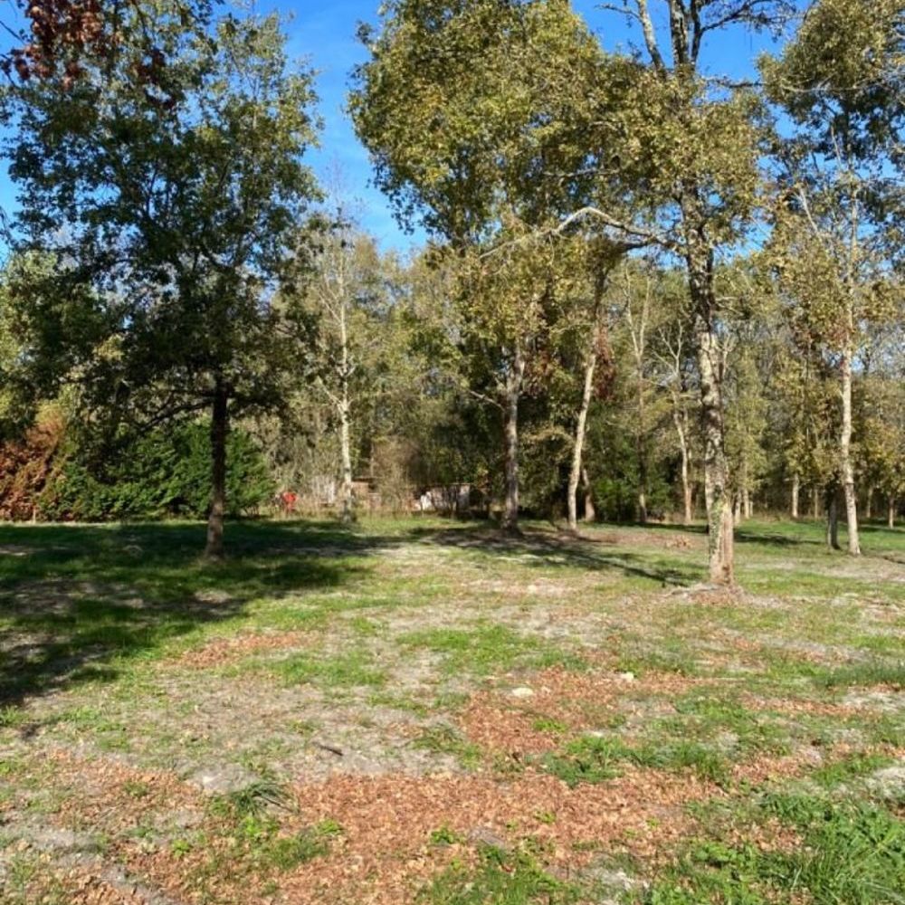 Maisons neuves   Le Taillan-Mdoc (33320)